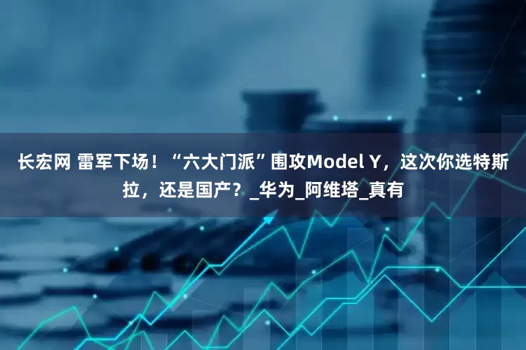 长宏网 雷军下场！“六大门派”围攻Model Y，这次你选特斯拉，还是国产？_华为_阿维塔_真有