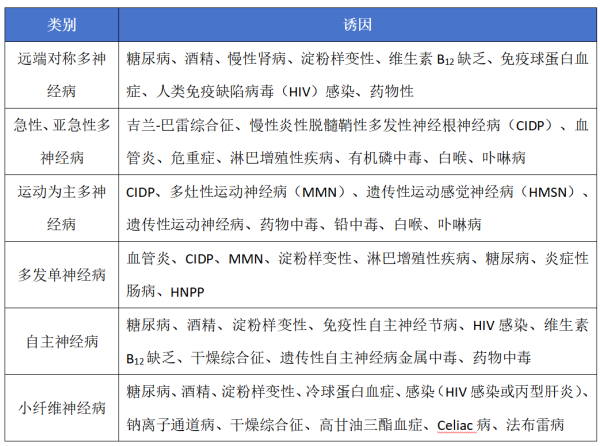 高忆管理 解剖、症状、检查三步定位，精准诊断周围神经病