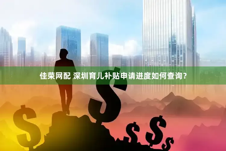 佳荣网配 深圳育儿补贴申请进度如何查询？